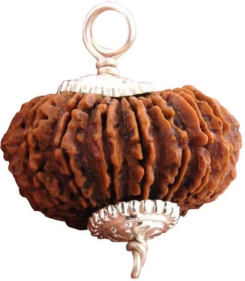 Vegga 14 mukhi rudraksha nepali / 14 mukhi pendant Wood