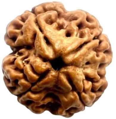 Beautum 4 Mukhi Rudraksha Four Face Rudraksha Nepali Rudraksha Code:11 Wood Pendant