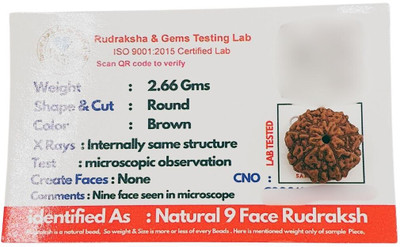 Madhavi Jewellery Natural & Certified 9 Mukhi Java Indonesian Rudraksha with Pendant for Unisex Beads Wood Locket Set