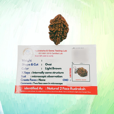 AJ Articles Natural certified 2 Mukhi Rudraksha with detailed & Puja wearing instructions Beads Wood Pendant Set