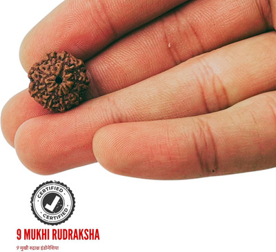 Fine Creation Original 9 Mukhi Rudraksha with Certificate Beads Wood Locket Set