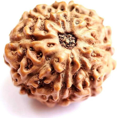 Shivtantra 8 mukhi rudraksha Original Certified Indonesian 8 mukhi rudraksha Wood Pendant