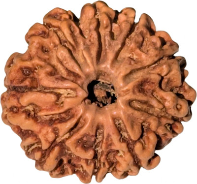 ShivaRatna 9 Mukhi X Ray Certified Rudraksha Bead - Nepal Origin - Hand Picked - Nine Face Cotton Dori