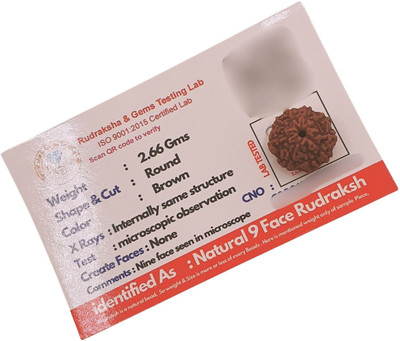 Astro Gayan Java Indonesian 9 Mukhi Rudraksha (1 Peice) Supports Business Beads Wood Pendant