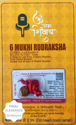 Divine rudras 6 Mukhi Rudraksha With Pendant Lab Certified Wood Pendant