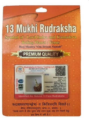 Anandam 13 Mukhi Rudraksha with Silver Capping | Lab Tested & X-ray Certified Wood Pendant