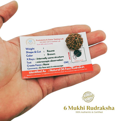 Khushal ENTERPRISE 6 Mukhi Nepali Rudraksha Pendant Lab Certified Original with Lab Certification Beads Wood Pendant Set
