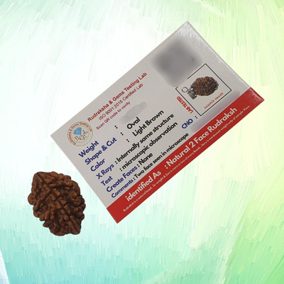 KitaboJi Samagri Certified 2 Mukhi Rudraksha / two Faced Rudraksha Original Rudraksha Locket Beads Wood Locket