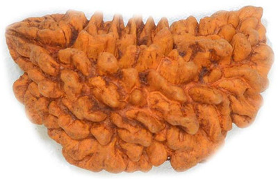 DvR ClicK Brown One Mukhi Rudraksha Brass Pendant