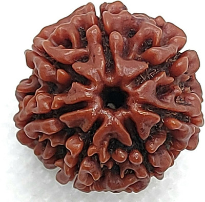 RamG 7 Mukhi/ 7 Mukhi Nepali Rudraksha Small Wood Locket