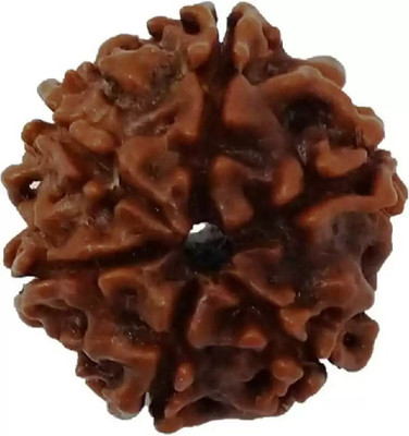 Fine Creation 6 Mukhi Rudraksha Original Nepali | Six Face Rudraksha Wood Pendant