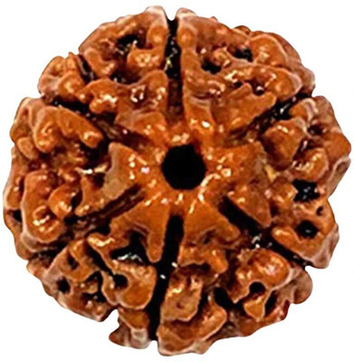 DIVINE HINDU 6 Mukhi Original Nepali Rudraksha Bead - Symbol of Divine Power Lab Certified Wood Pendant