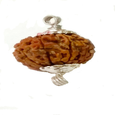DIVINE SOUVENIRS 11 mukhi rudraksha pendant Wood