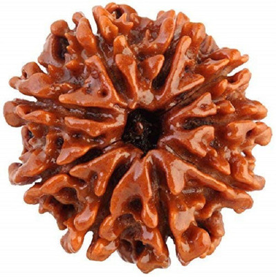 Firmus Original Certified Rudraksha Mukhi Bead Natural Religious Rosary Bead (9 Mukhi) Wood Pendant