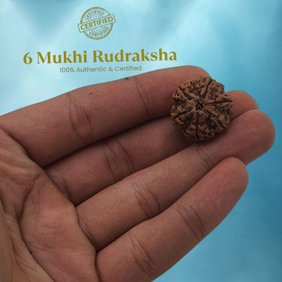 DYAMOR JEWELLERY 6 Mukhi Rudraksha With Pendant Lab Certified Beads Wood Pendant