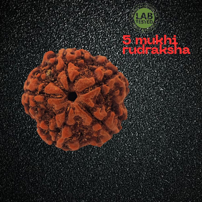 Regga Real Store FIVE 5 MUKHI RUDRAKSHA (CERTIFIED AND NEPAL ORIGIN) 5 MUKHI RUDRAKSH Beads Wood Pendant Set