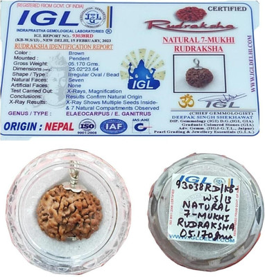 Shree Shankham 7 Face Rudraksha Original Certified | by Shree Shankham | Mother of Pearl