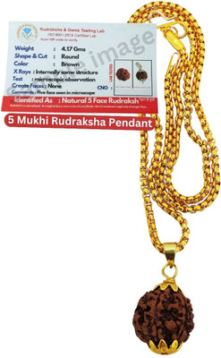 Radhika Collection 5 Mukhi Rudraksha HRC Lab Certified Gold-plated Beads Brass, Wood Locket