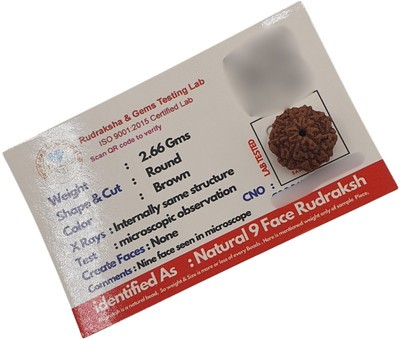 Human Collections 9 Mukhi rudraksha / 9 Face Rudraksha Pendant indonesian For Men and Women Wood Locket Set