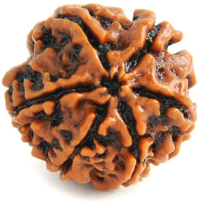 uniworldwide 6 Mukhi Nepali Rudraksha Lab Certified Size 17 mm Natural Brown Wood Wood Pendant