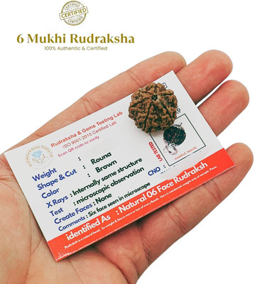 ApnaBro 6 Mukhi Rudraksha six Rudraksha With Nepal Beads Beads Wood Pendant Set