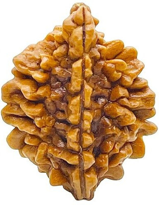 Jewelswonder 2 MUKHI RUDRAKSHA Wood Pendant