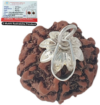 Dayalu Store Natural & Real 5 Mukhi Rudraksha Five Face Rudraksha Paach Face Rudraksh Silver Beads Brass, Wood Locket Set