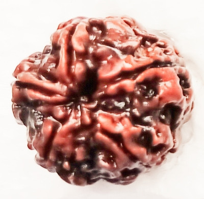 Jds creation 5 face rudraksha Wood Pendant