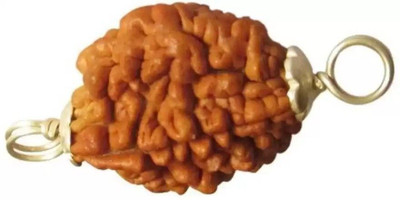 urbanzebra 2 Mukhi/2 Faced Brown Rudraksha with Certificate for Men & Women Beads Wood