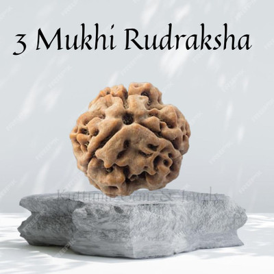 Kuttumb Gems & Jewels Lab Certified Natural 3 Mukhi Rudraksha Bead Nepali 3 Face Rudraksha Wood