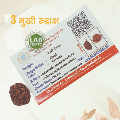 AstroLotus 3 Mukhi Nepali Rudraksha IGL Certified || Original Seller Nepali Rudraksha || Beads Wood Locket
