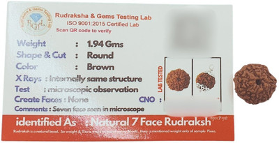 Guruji Gems & Jewellery Natural 7 Mukhi Rudraksha seven Face Rudraksha Metal Cap Beads Brass, Wood Pendant Set