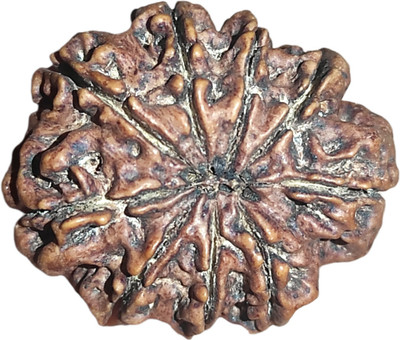 shreerudraksham 9 Mukhi Nepali Rudraksha Original Certified Blessed by Goddess Adi Shakti Mother of Pearl