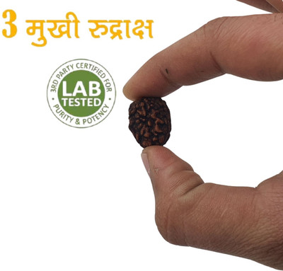 KitaboJi Jewellery three / 3 Mukhi Mantra Siddha Nepali Rudraksha Beads Wood Pendant Set