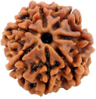 Anandam Siddha (7) Mukhi Nepali Rudraksha Wood Locket Wood Pendant
