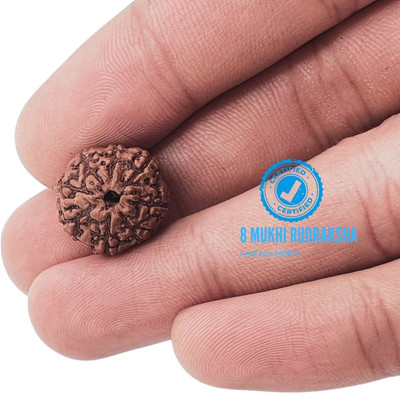 Guruji Imitation Company 8 Mukhi Rudraksha With Pendant Lab Certified 10-14Mm Size Beads Wood Pendant Set
