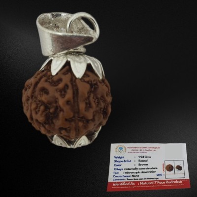 Fine Creation Pure 7 Mukhi Nepali Rudraksha Original seven faced rudraksha with beautness Silver Wood Locket