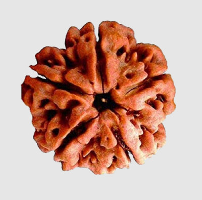 Jewelswonder 5 mukhi rudraksha pendant Wood Pendant