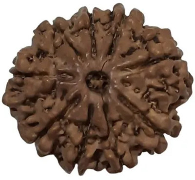 Shivtantra 9 Mukhi Rudraksha / 9 Face Rudraksha Silver Pendant With Lab Certificate 09 Wood Pendant