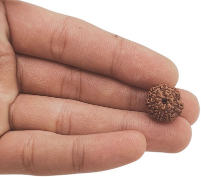 Fine Creation Pure 7 Mukhi Nepali Rudraksha Original seven faced rudraksha with beautness Beads Wood Locket Set