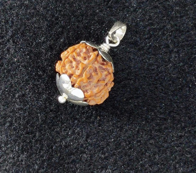 Fine Creation 5 Mukhi Rudraksha Five face Panchmukhi Rudraksha Nepali with Lab Certificate Silver Wood Pendant