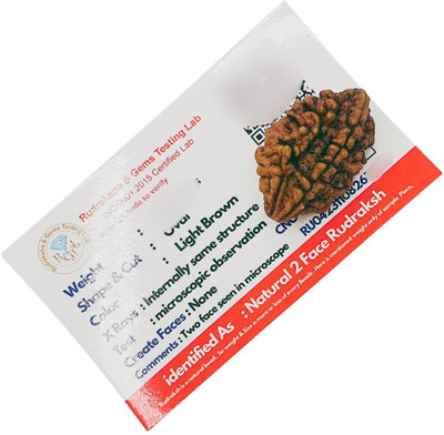 Human Collections Certified 2 Mukhi Rudraksha Beads Natural 2 Face Rudraksha Beads Locket Wood Locket Set