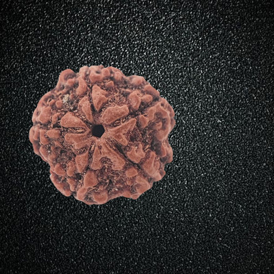 Nirvana Mukhi 5 Mukhi Nepali Rudraksha Panch Mukha Five Face Mantra Siddha Rudraksh Beads Wood Pendant