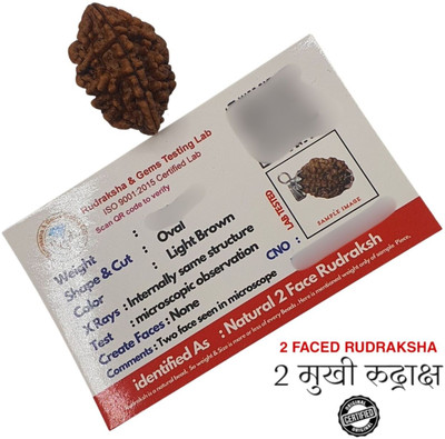 JagatguruShop Two Mukhi Oval Rudraksha with and Chain / Original 2 Mukhi Beads Wood Locket