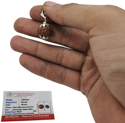 Kripalu store Original 7 Mukhi Rudraksha with Lab Certificate Pack of 1 Silver Wood Pendant Set
