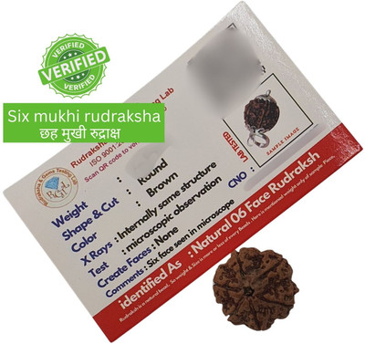 NATURAL TREASURE Wood Pendant Set