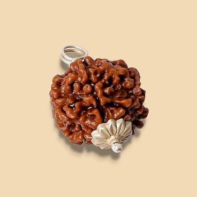 Beautum Original 6 Mukhi Rudraksha Six Face Rudraksha Metal Cap Nepali Bead Wood Pendant