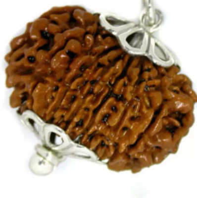 Jewelswonder 17 mukhi rudraksha Wood