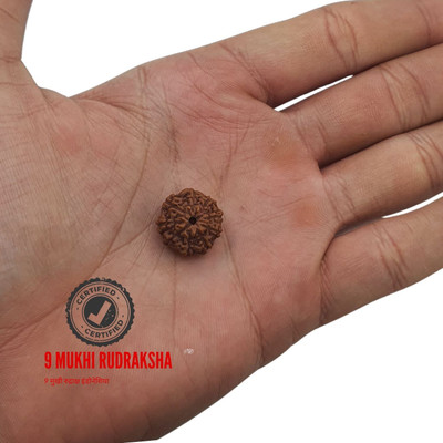 BHAKTI CHIMES Premium 9 Mukhi Java Indonesian Rudraksha nine face With tab tested Beads Wood Locket