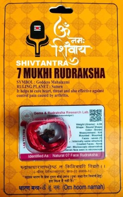 Shivtantra 7Mukhi Nepali Rudraksha Seven Faced Rudraksha With Certified Lab Tested Wood Pendant